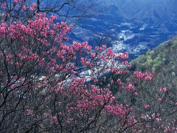 Hotel Shiobara Onsen Yama No Yado Shimofujiya Nasushiobara Exteriér fotografie